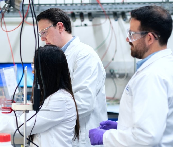 Clinical Applications and Therapeutic Indications Shape Safe Drug Use